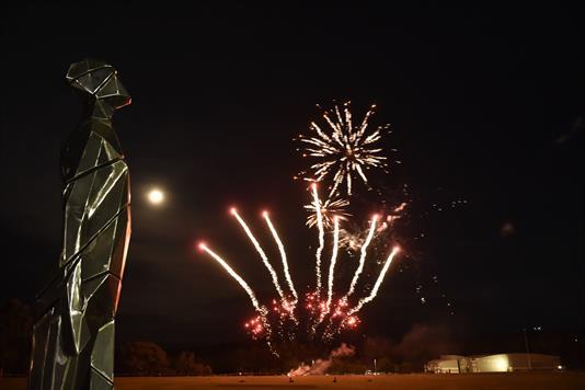 Fireworkswiththe Visionary