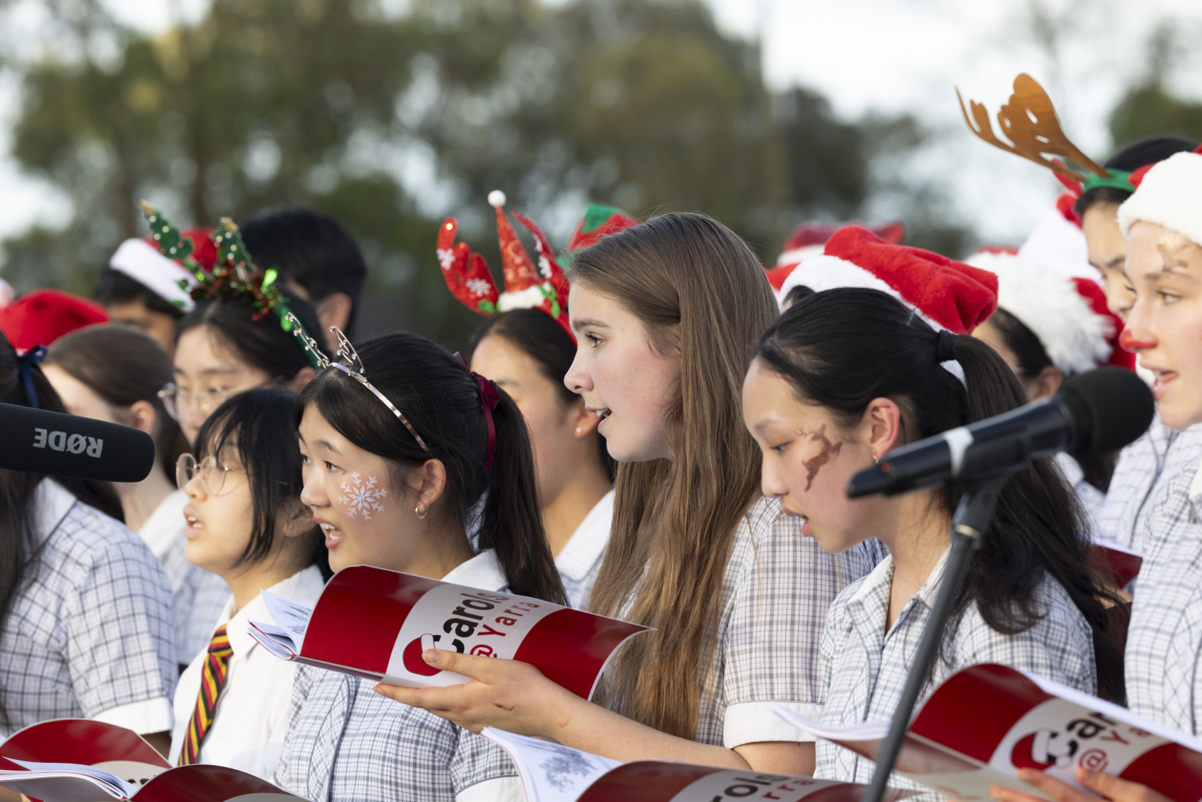 RBP2024 12 02 YV Gcarols 355