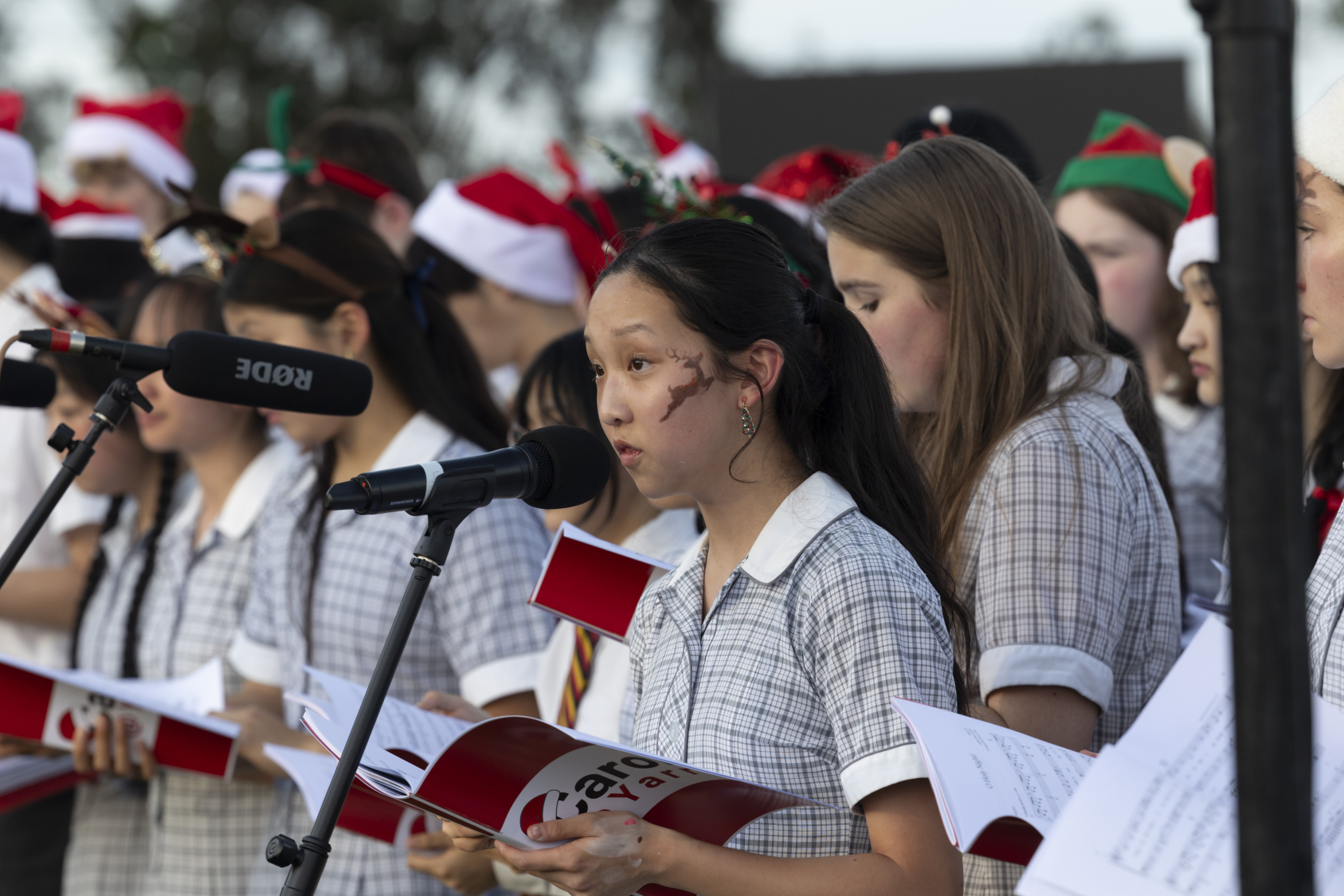 RBP2024 12 02 YV Gcarols 365