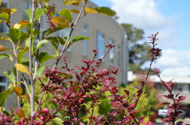 Website Image Baldwin Circle