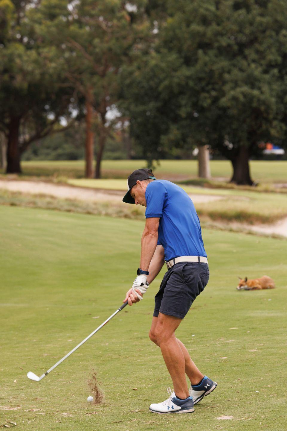Yog Golf 26 867