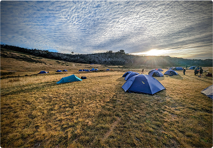 Exceptional Experiences